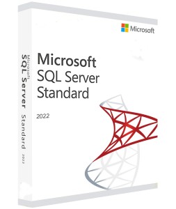 Windows SQL Server 2022 Standard +10 User CAL