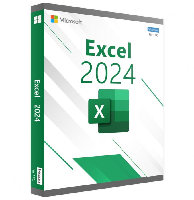 Microsoft Excel 2024 Professional (Przypisanie do konta Microsoft)